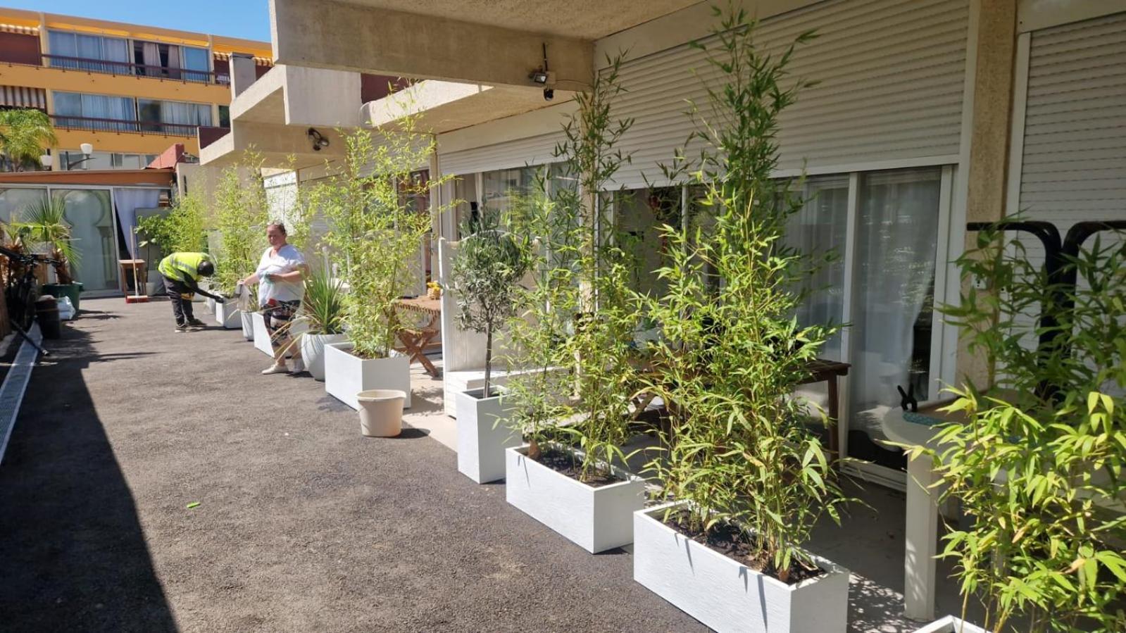 Apartamento Asklan Bormes-les-Mimosas Exterior foto